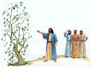 Иисус и смоковница