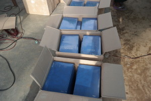 Библии приготовленные для вручения