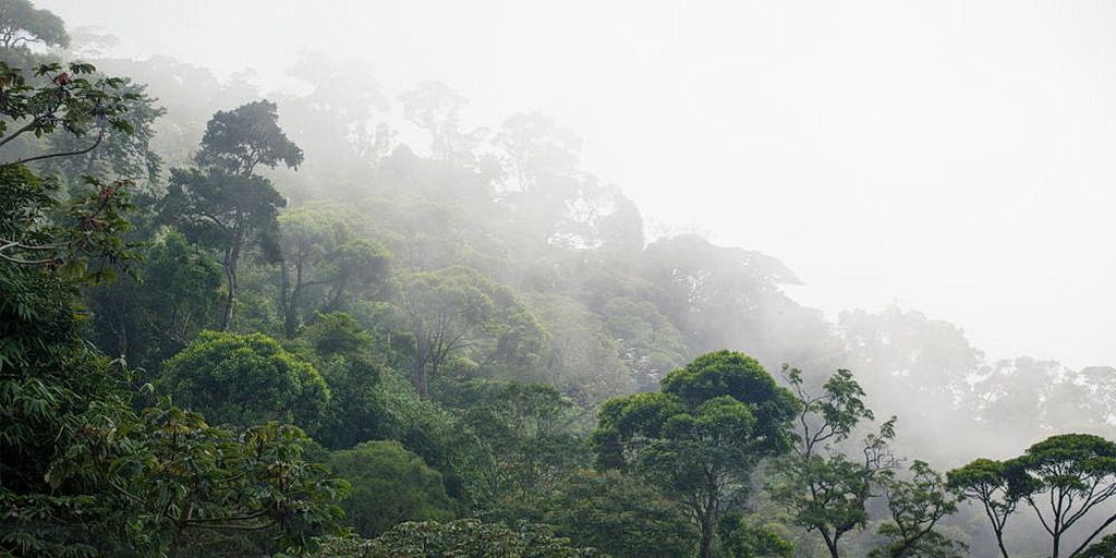 В джунглях Амазонии начаты работы по созданию нового адвентистского фильма