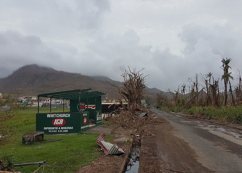 Дороги и деревья разрушены ураганом 5 Категории. [Фото: Сэмюэль Телемак, Новости Интер-Американского дивизиона]