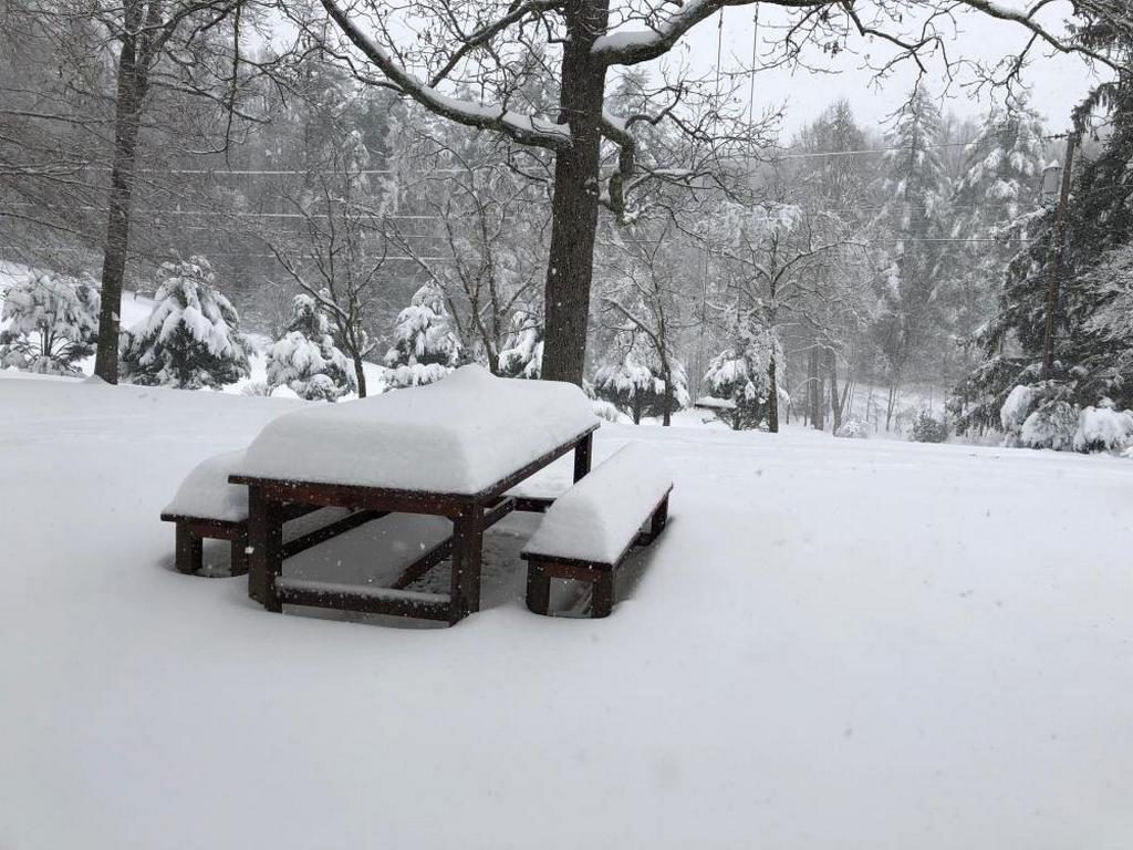 Больше чем 13 дюймов (0.3 метра) снега выпали в Эшвилле, Северная Каролина