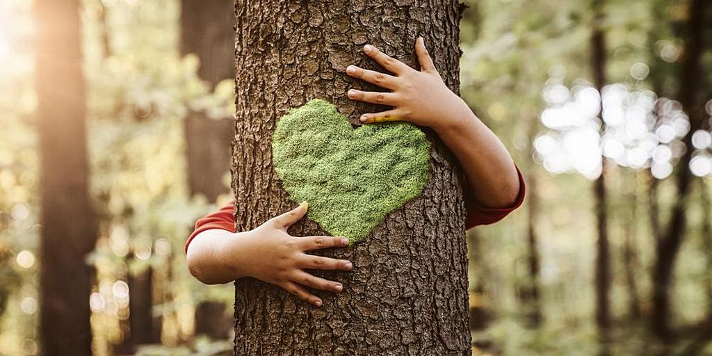 За красоту земли