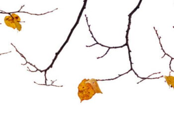 Почему зло?