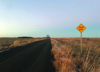 Сирота, ангел и далекая дорога